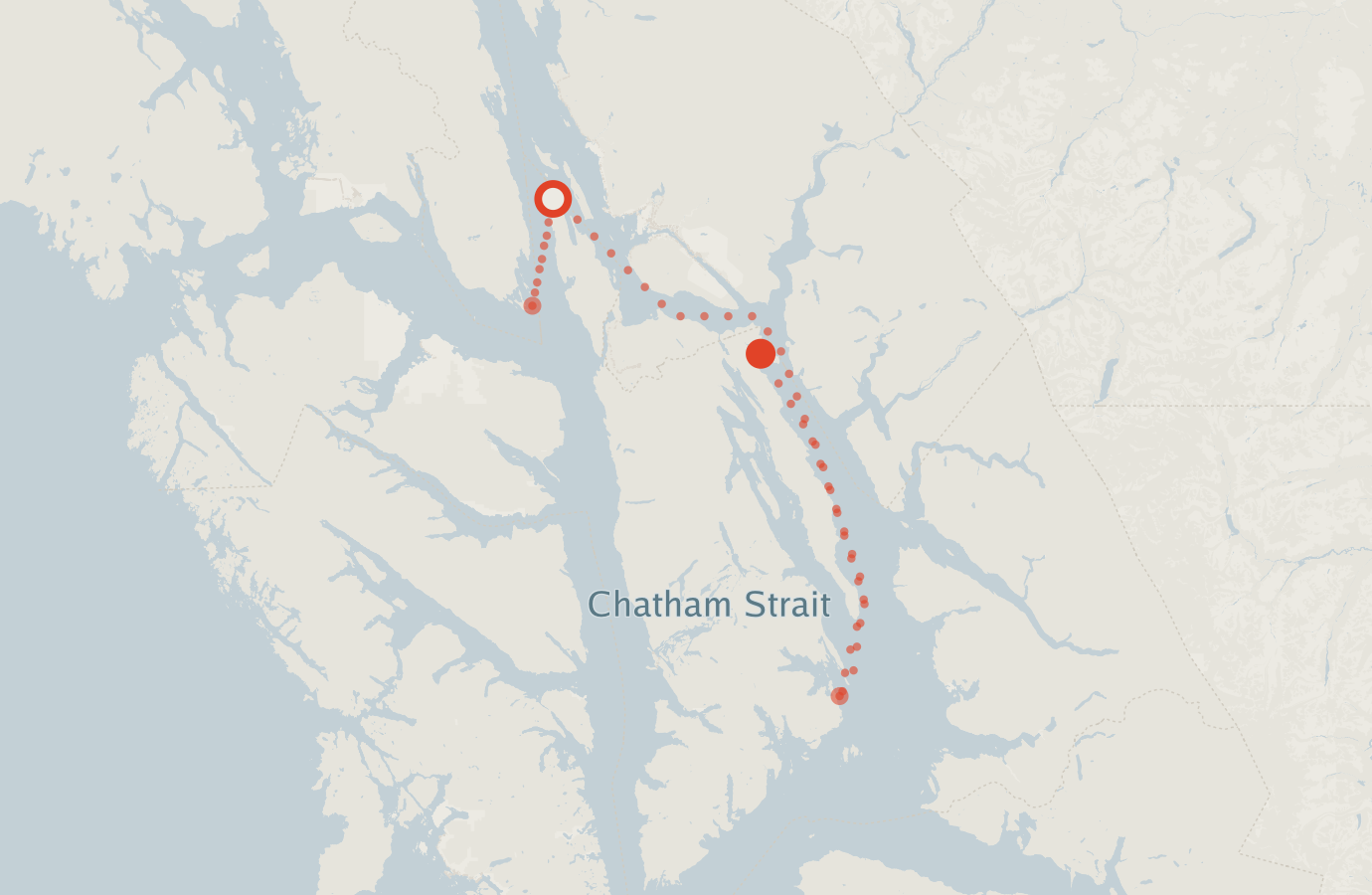Activity map — real sighting points on an OpenStreetMap basemap