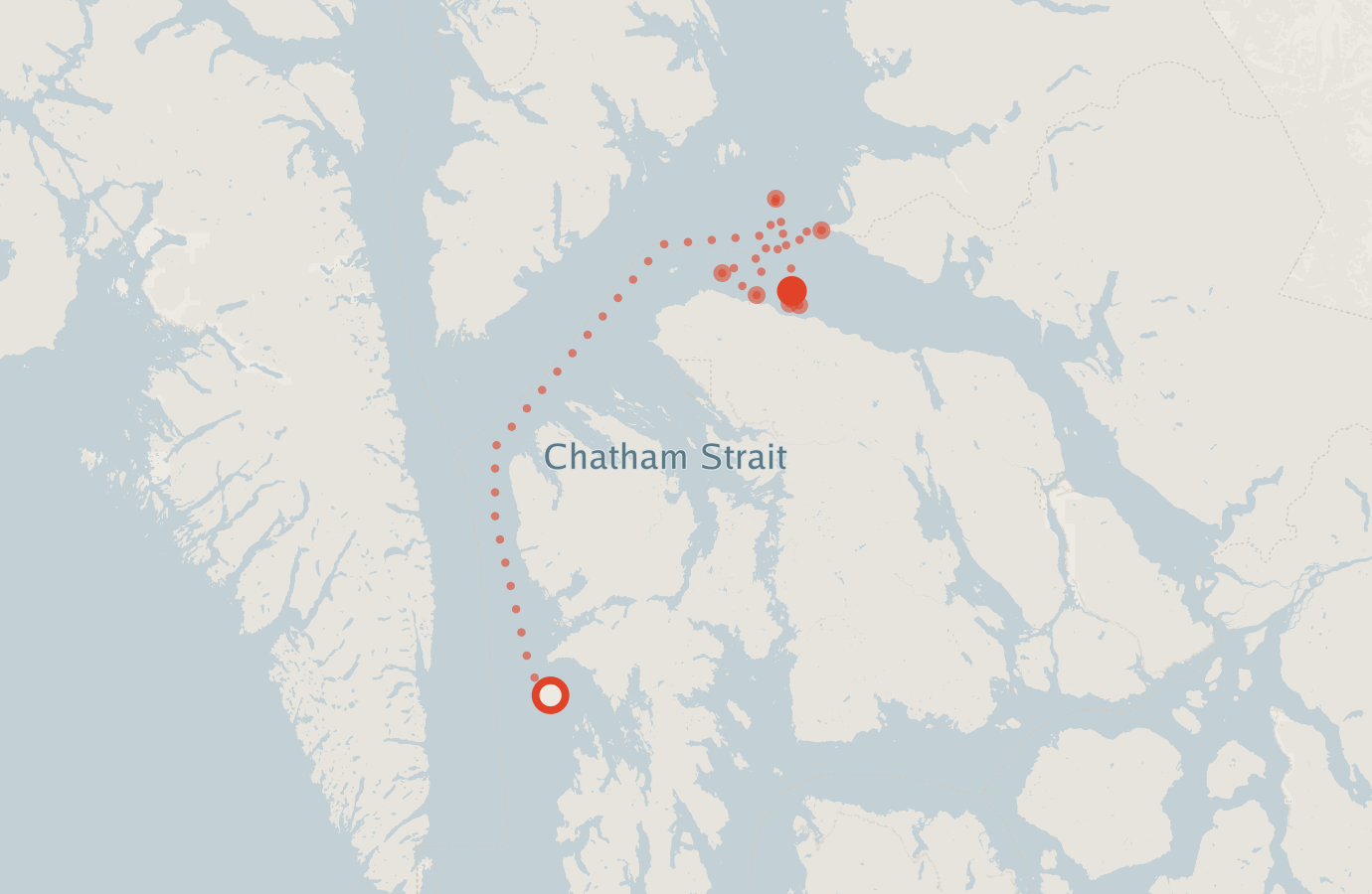 Activity map — real sighting points on an OpenStreetMap basemap