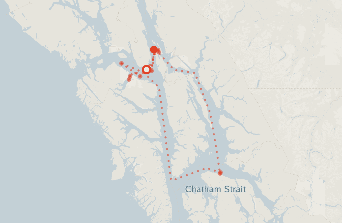 Activity map — real sighting points on an OpenStreetMap basemap