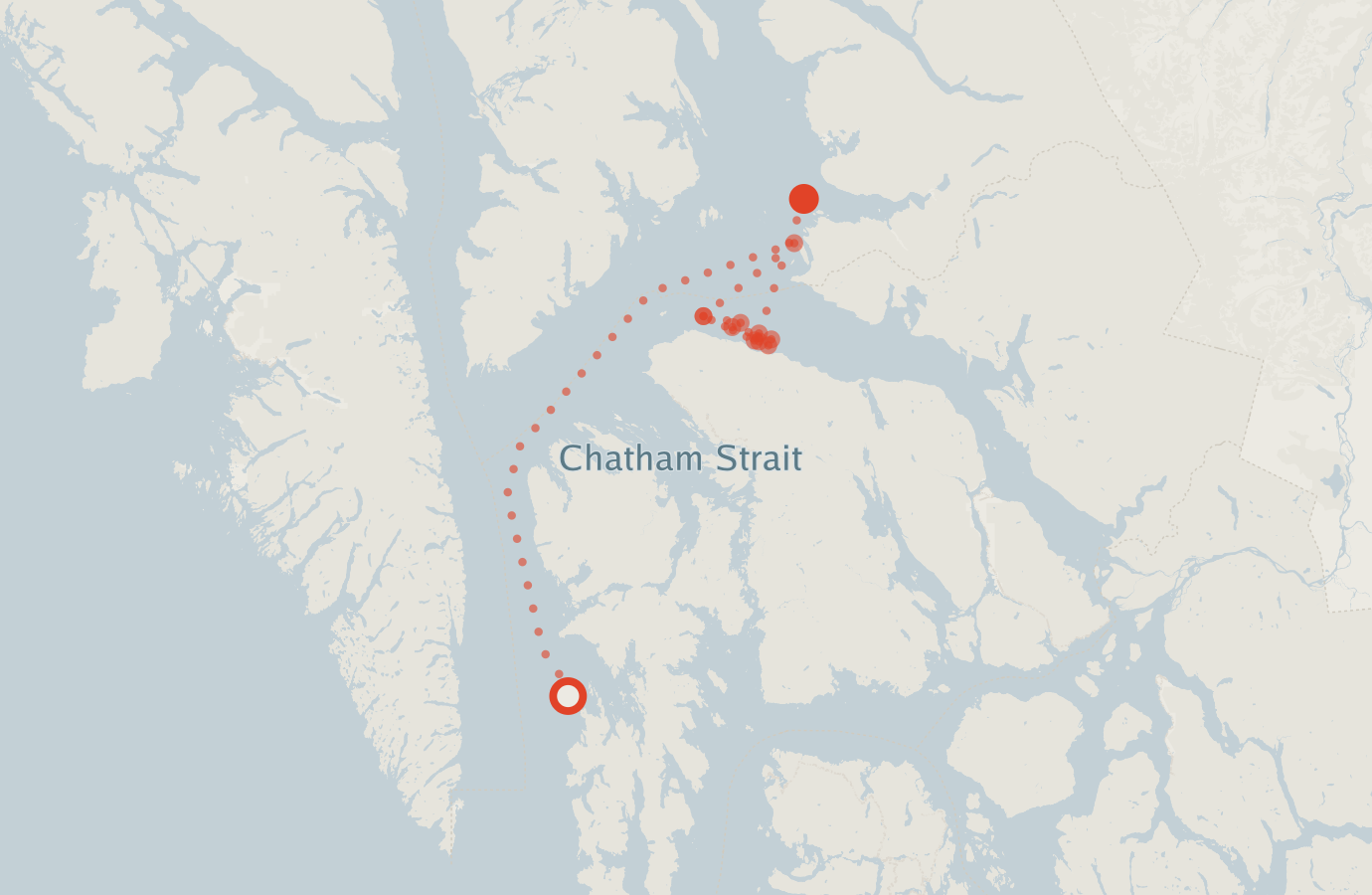 Activity map — real sighting points on an OpenStreetMap basemap