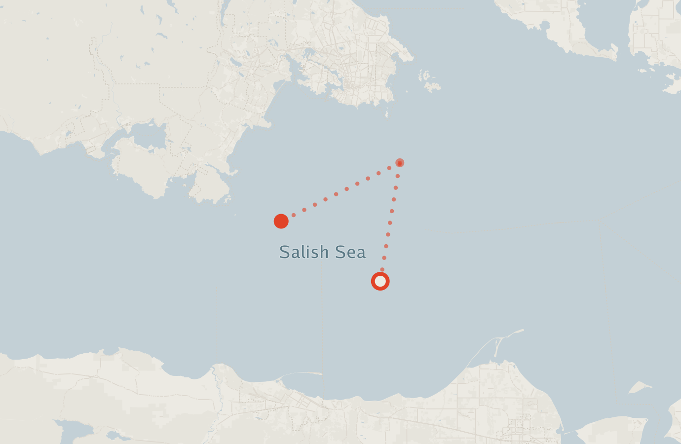 Activity map — real sighting points on an OpenStreetMap basemap
