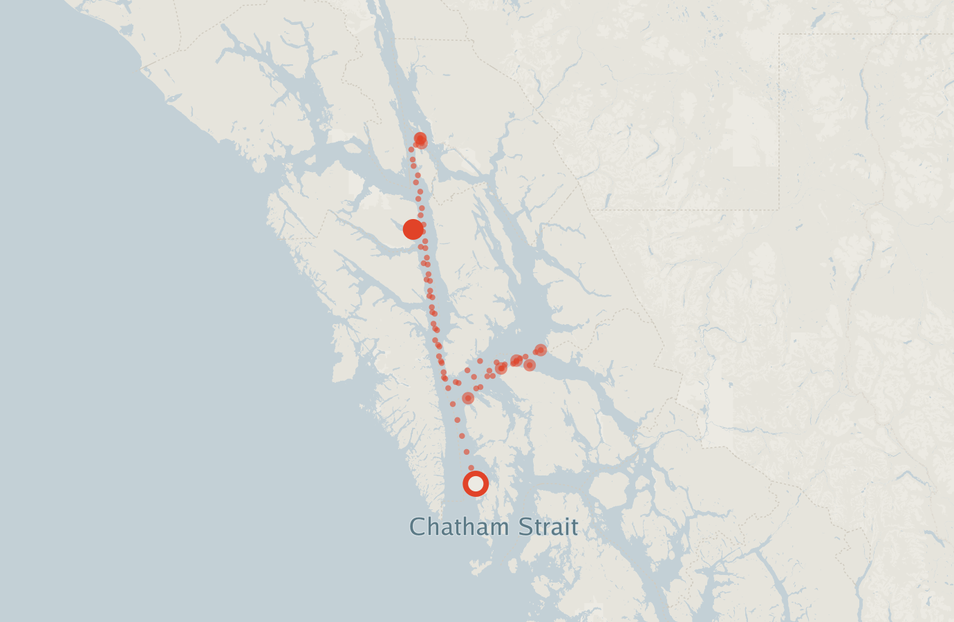 Activity map — real sighting points on an OpenStreetMap basemap