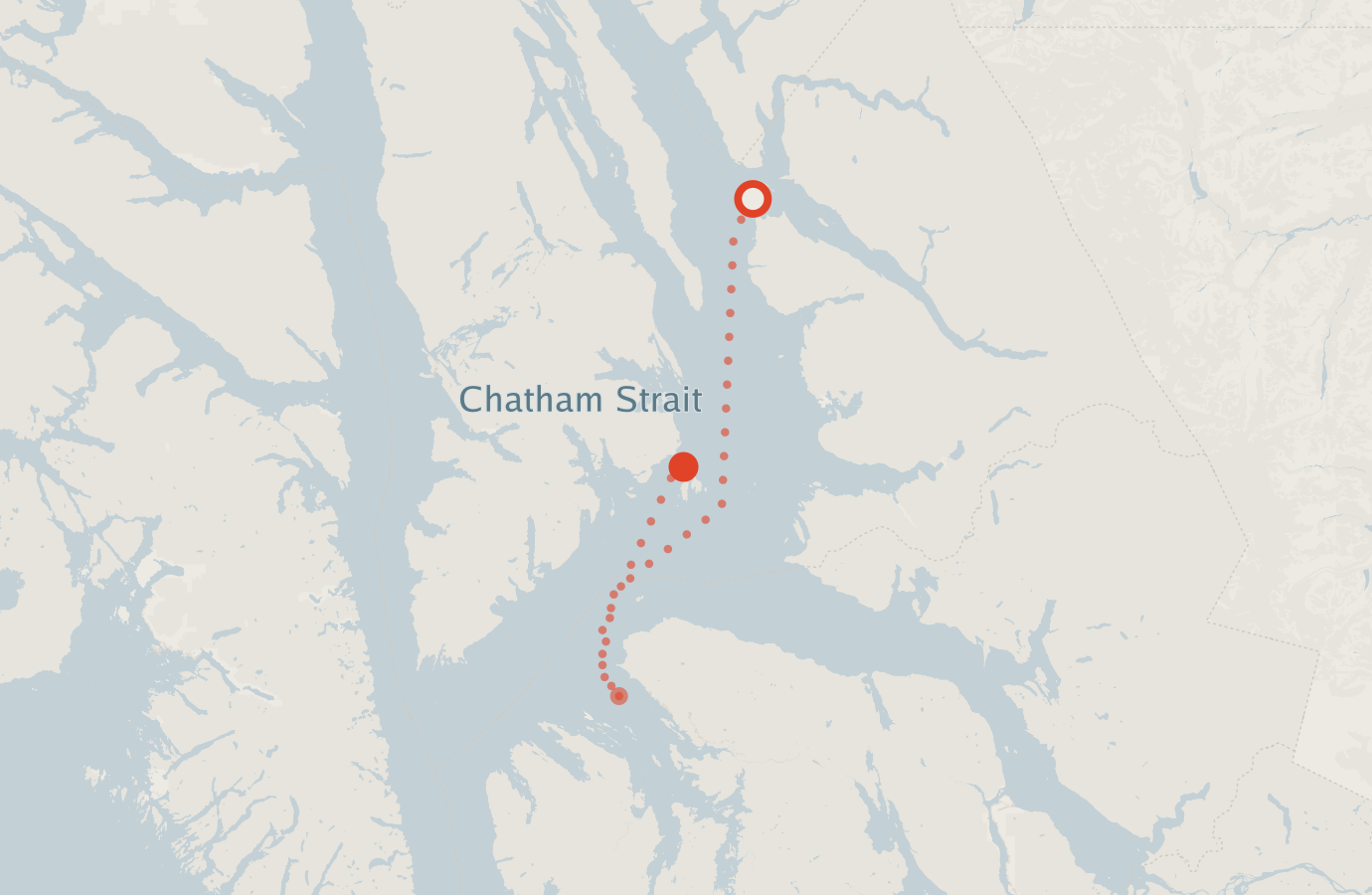 Activity map — real sighting points on an OpenStreetMap basemap
