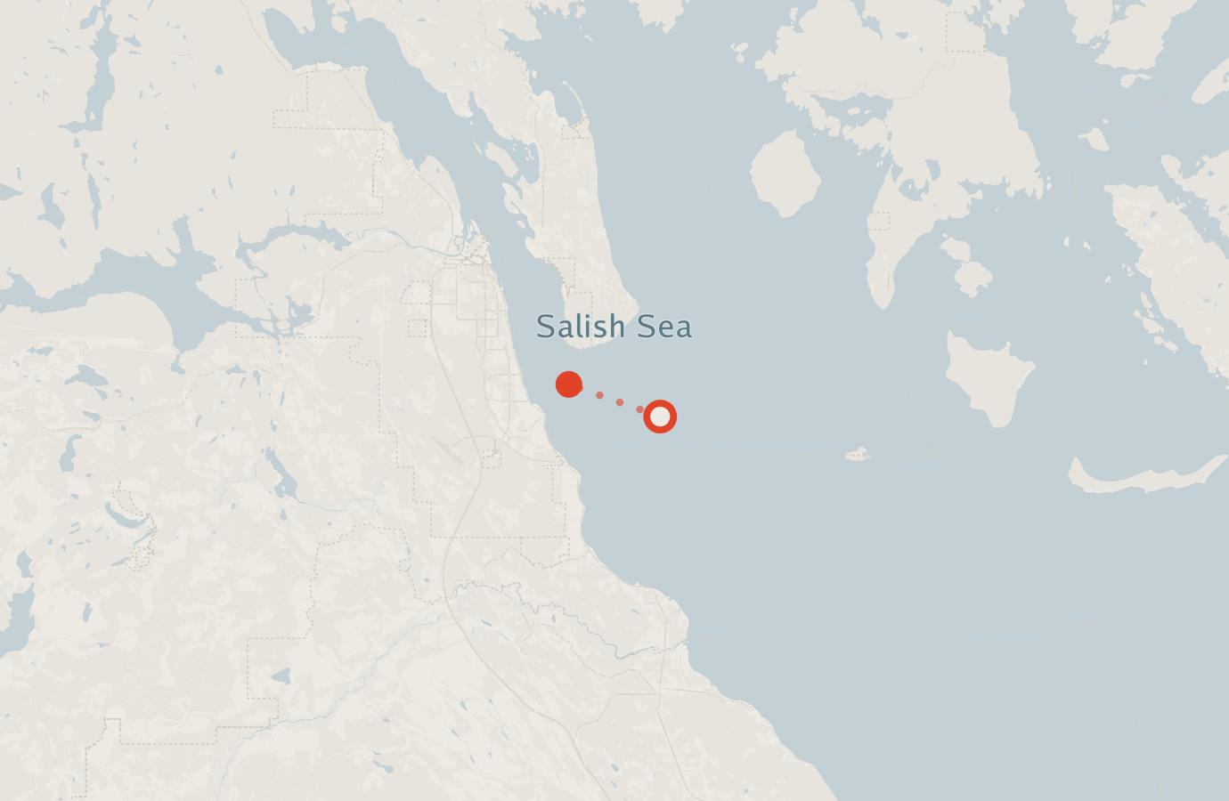 Activity map — real sighting points on an OpenStreetMap basemap