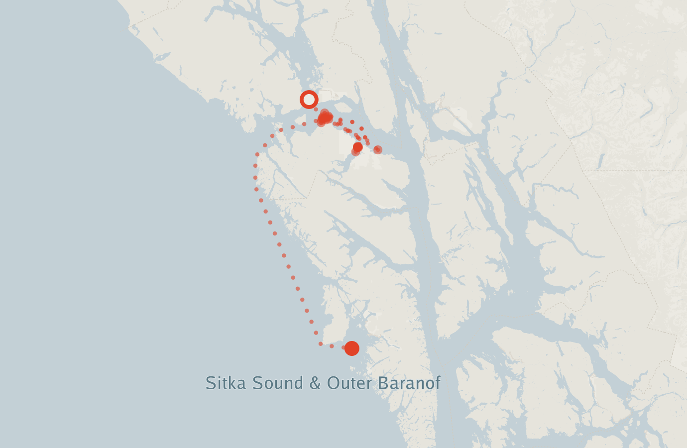 Activity map — real sighting points on an OpenStreetMap basemap