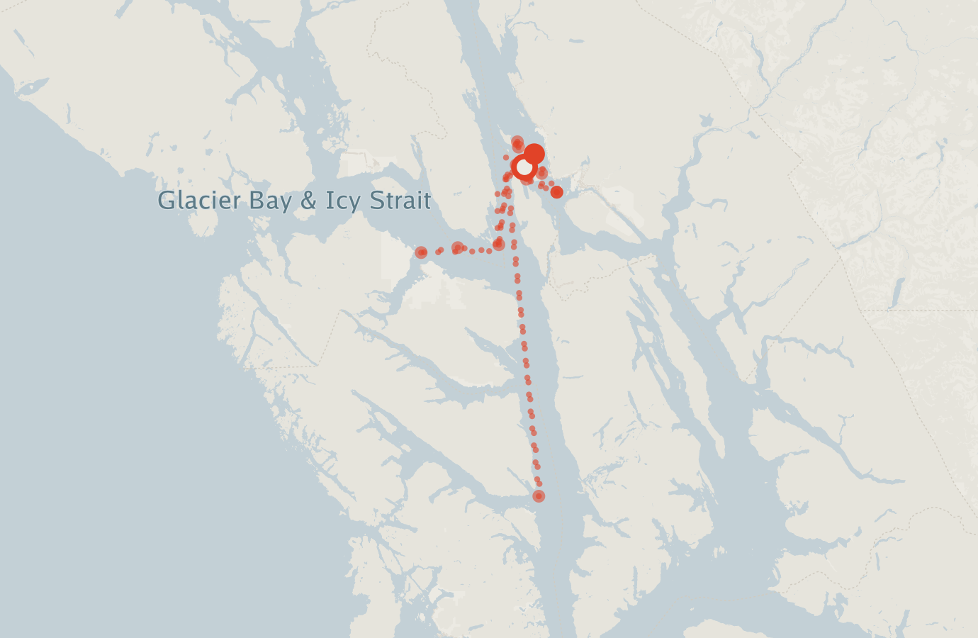 Activity map — real sighting points on an OpenStreetMap basemap