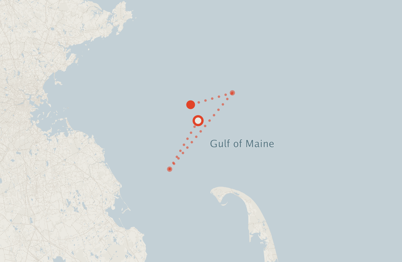 Activity map — real sighting points on an OpenStreetMap basemap
