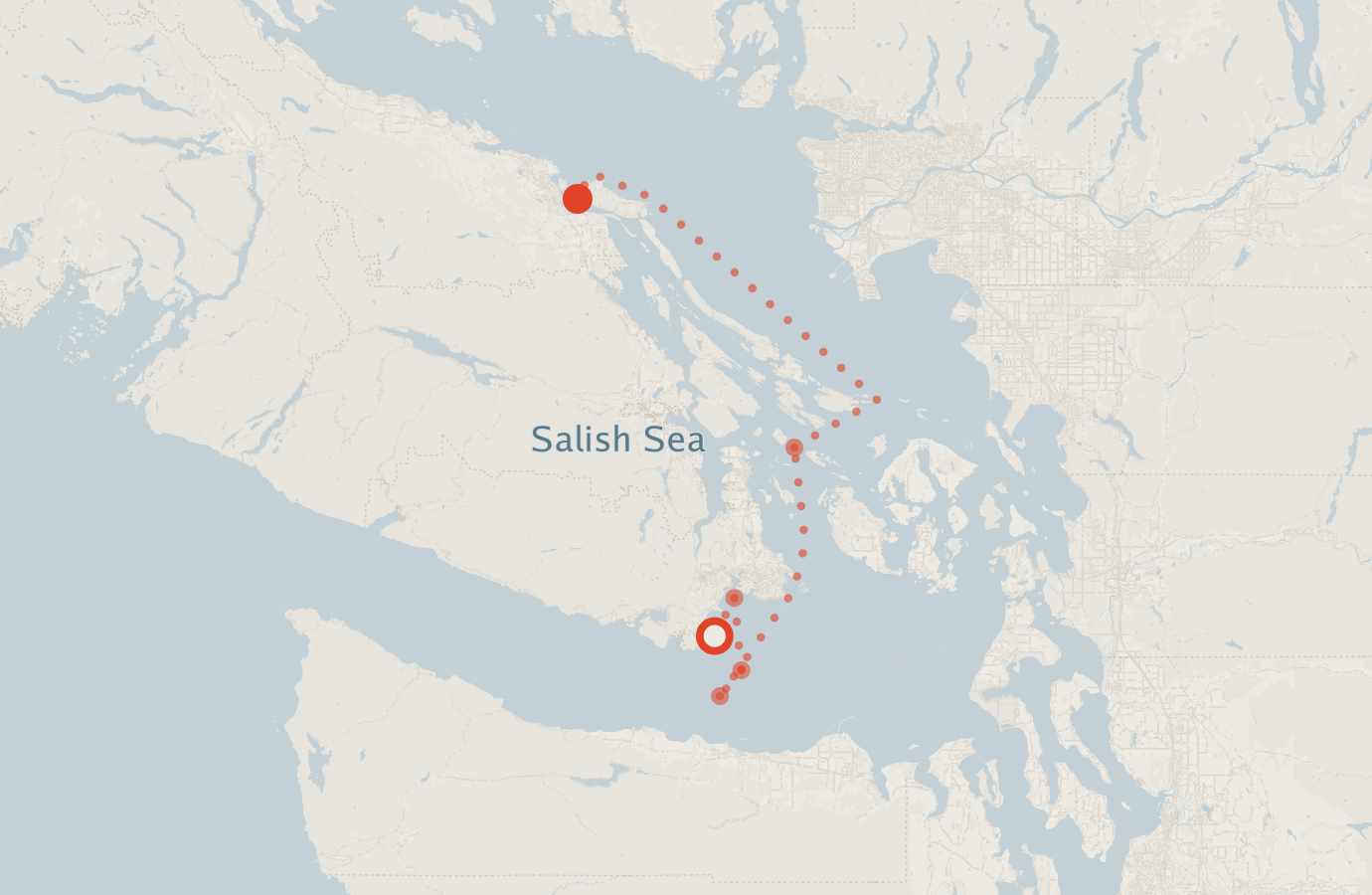 Activity map — real sighting points on an OpenStreetMap basemap
