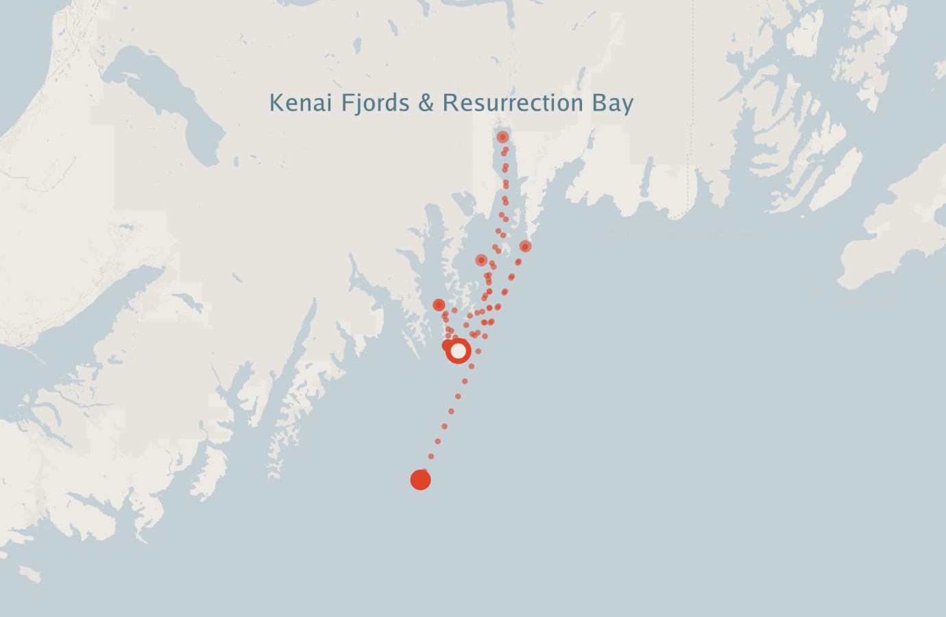 Activity map — real sighting points on an OpenStreetMap basemap