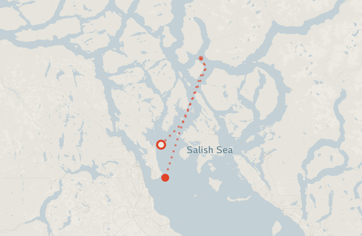 Activity map — real sighting points on an OpenStreetMap basemap