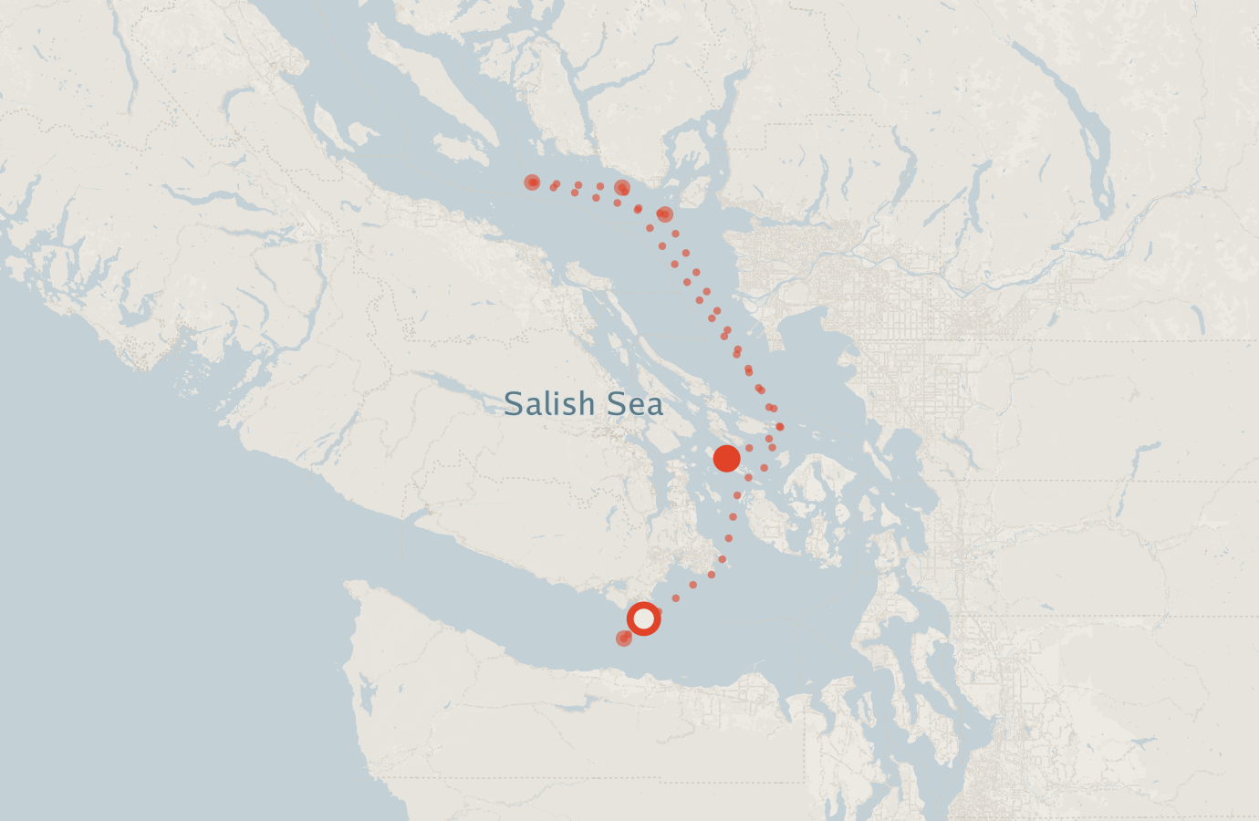 Activity map — real sighting points on an OpenStreetMap basemap