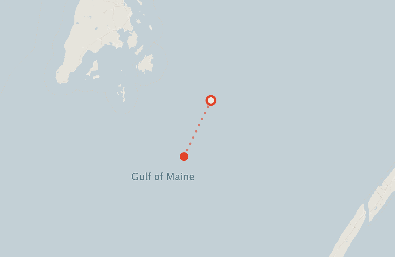 Activity map — real sighting points on an OpenStreetMap basemap