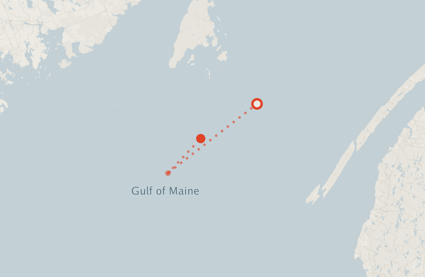 Activity map — real sighting points on an OpenStreetMap basemap