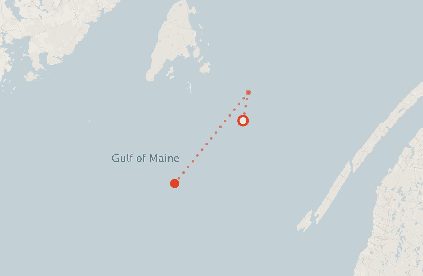 Activity map — real sighting points on an OpenStreetMap basemap