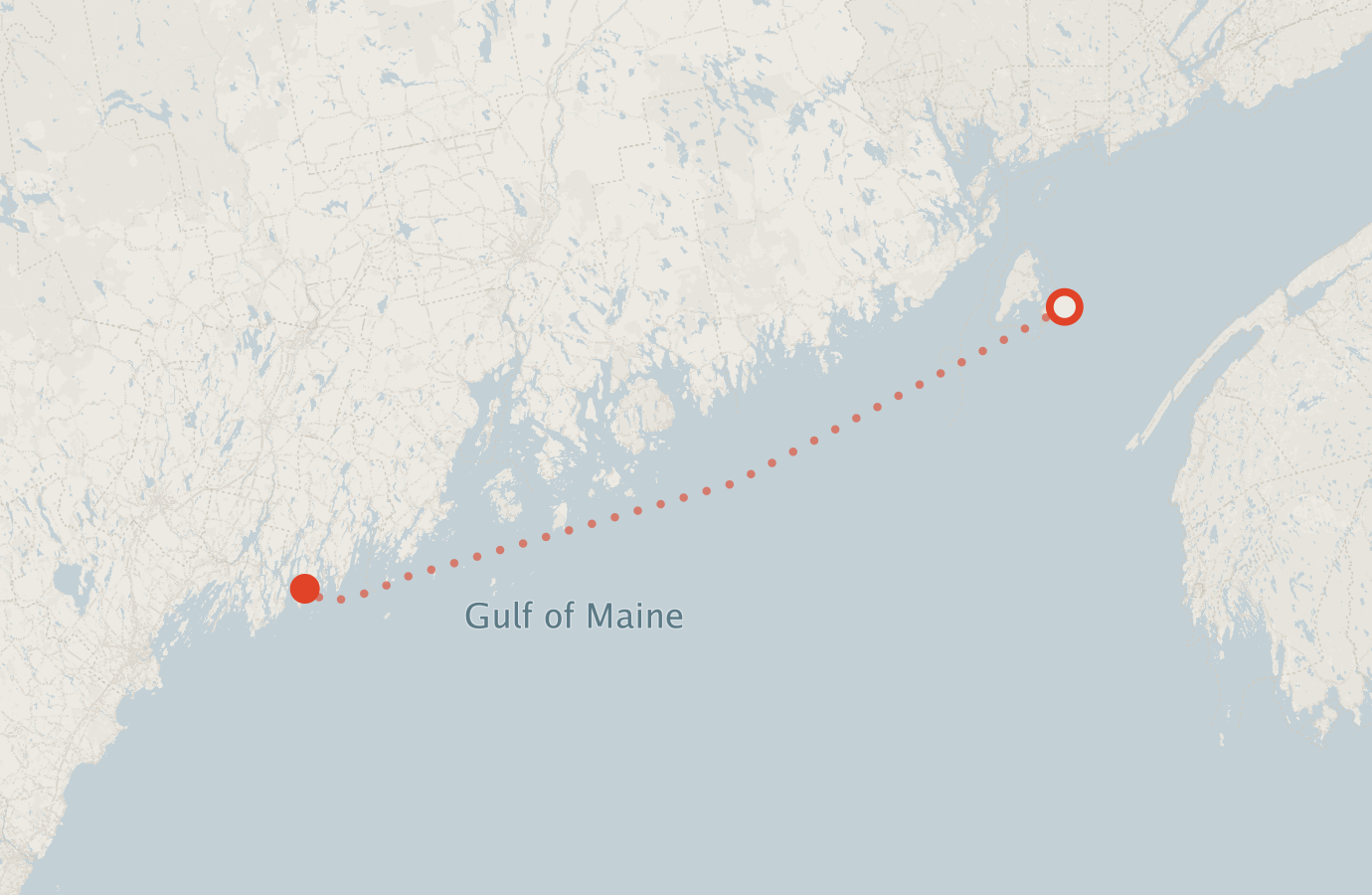 Activity map — real sighting points on an OpenStreetMap basemap
