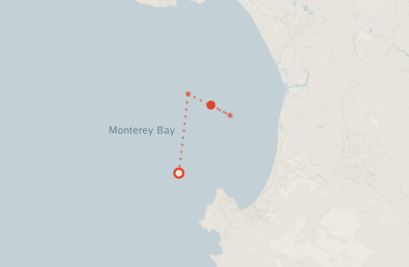 Activity map — real sighting points on an OpenStreetMap basemap