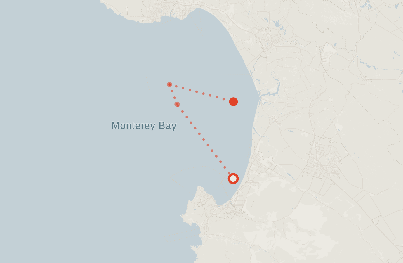Activity map — real sighting points on an OpenStreetMap basemap