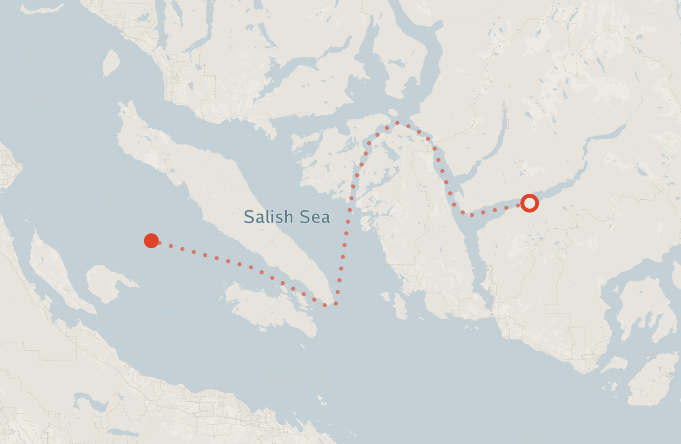 Activity map — real sighting points on an OpenStreetMap basemap