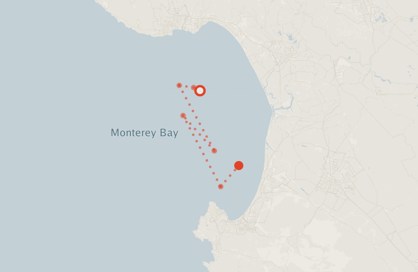 Activity map — real sighting points on an OpenStreetMap basemap