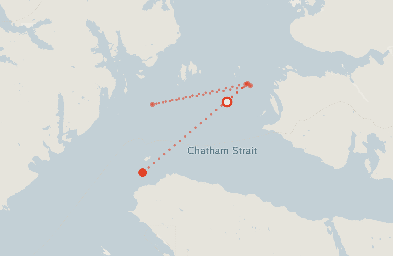 Activity map — real sighting points on an OpenStreetMap basemap