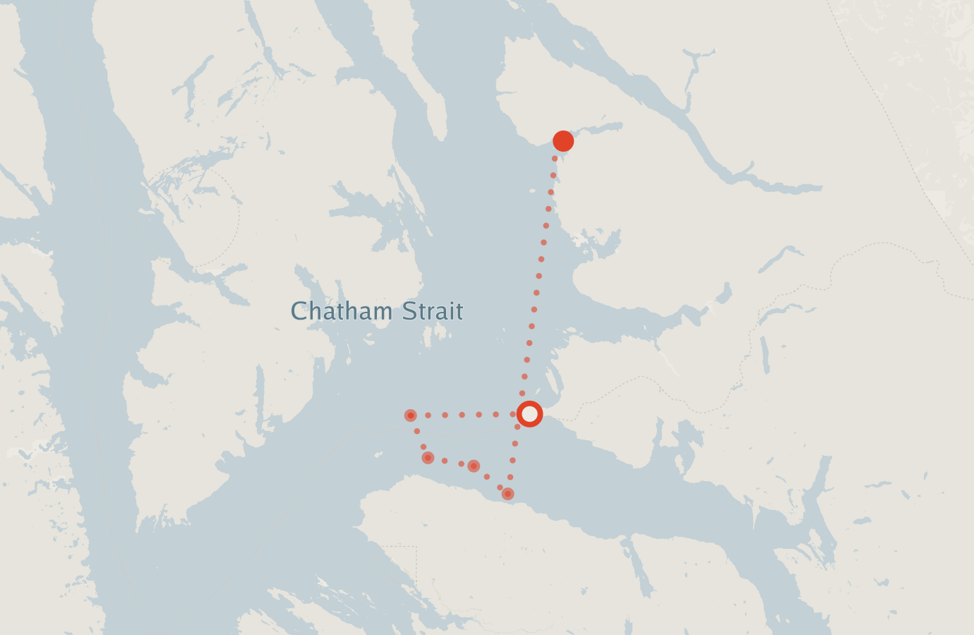 Activity map — real sighting points on an OpenStreetMap basemap