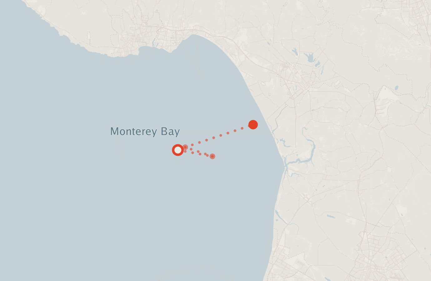 Activity map — real sighting points on an OpenStreetMap basemap