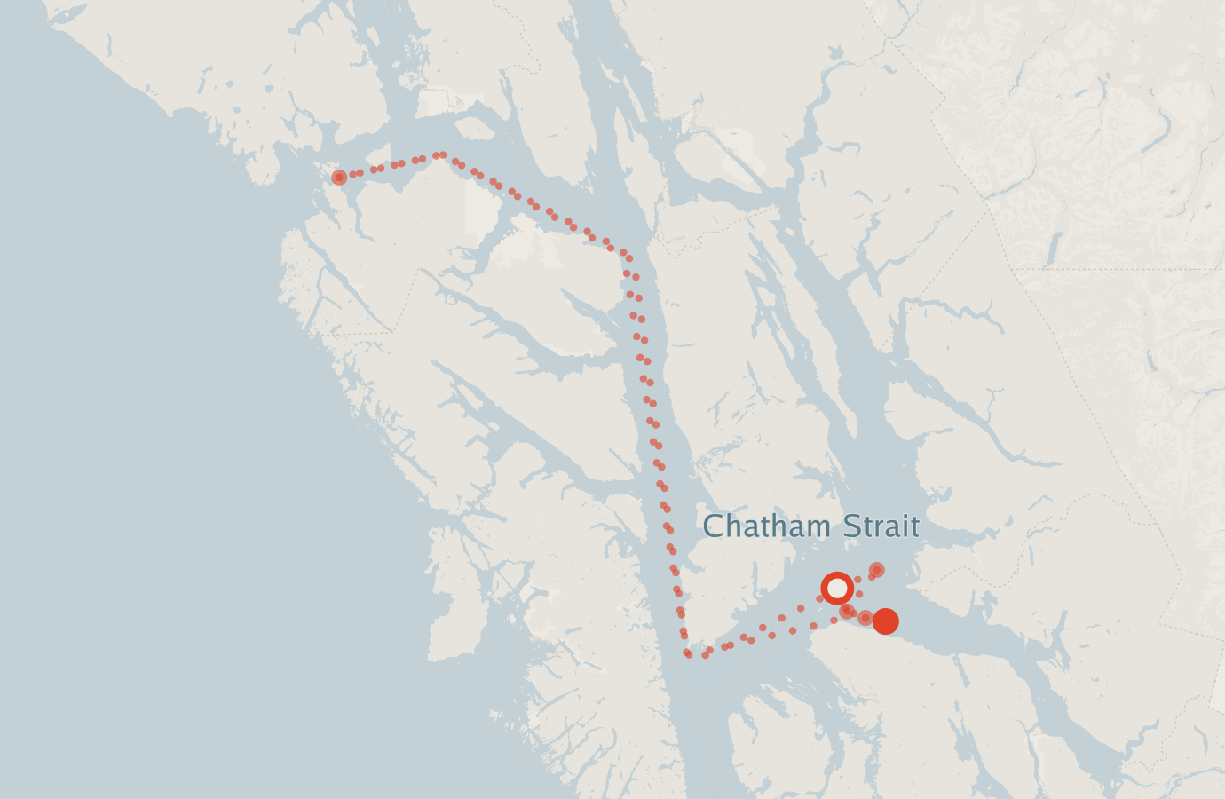 Activity map — real sighting points on an OpenStreetMap basemap