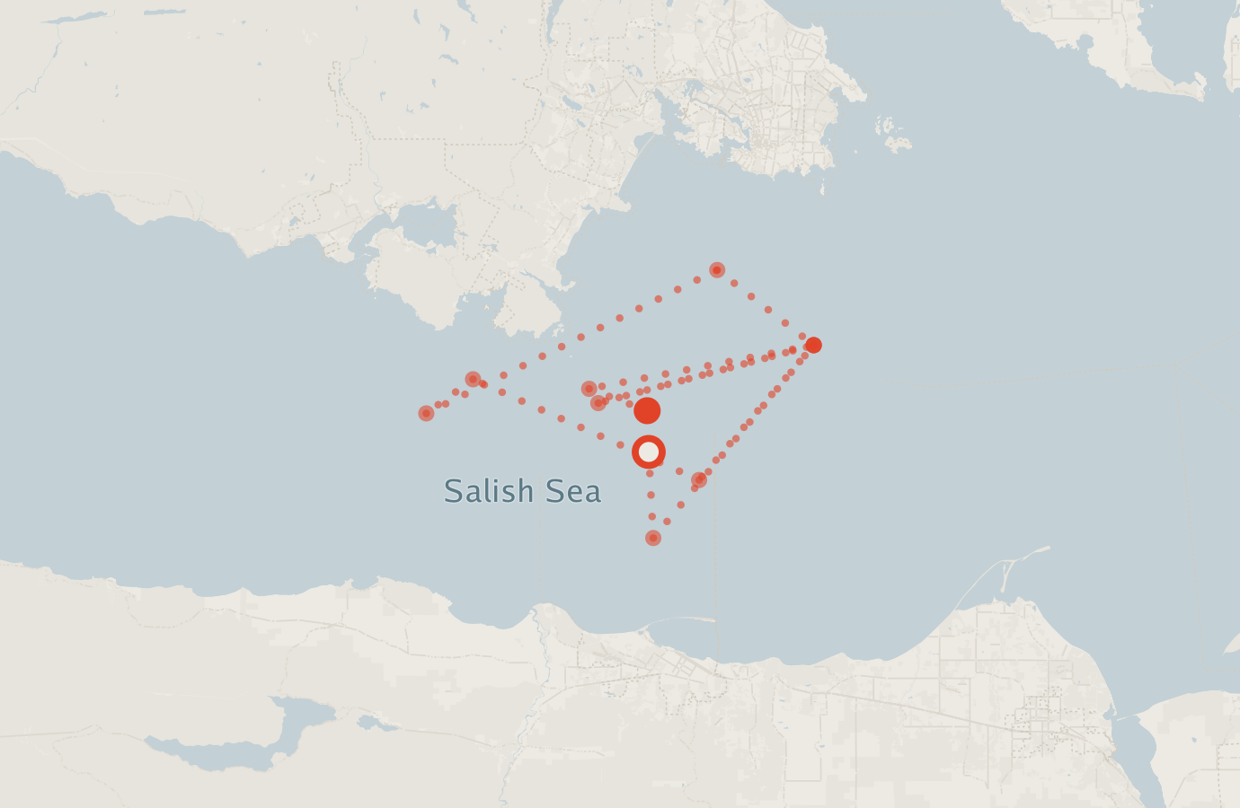 Activity map — real sighting points on an OpenStreetMap basemap