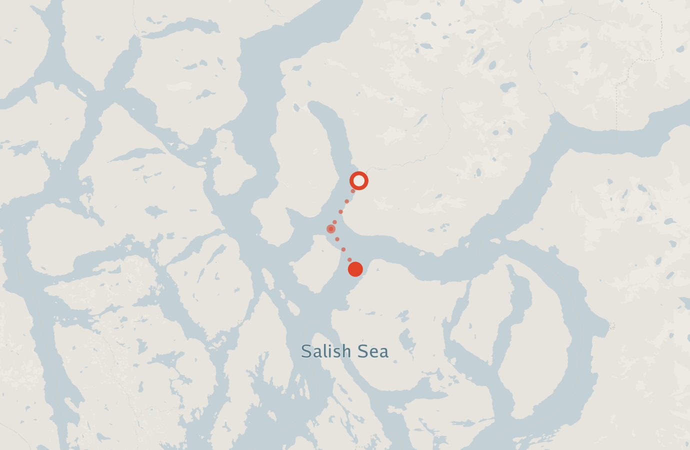 Activity map — real sighting points on an OpenStreetMap basemap