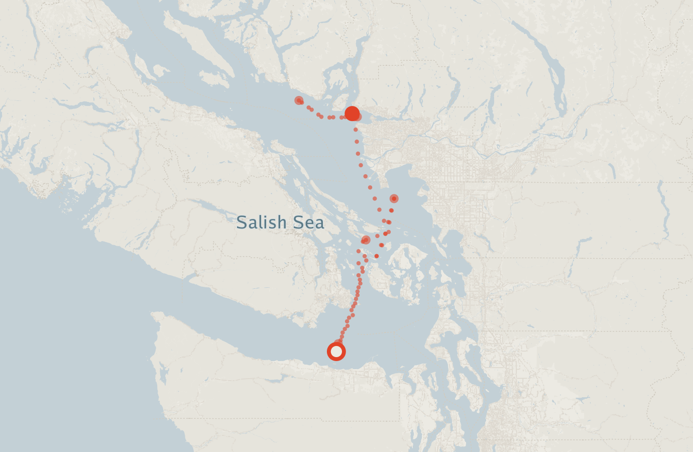 Activity map — real sighting points on an OpenStreetMap basemap
