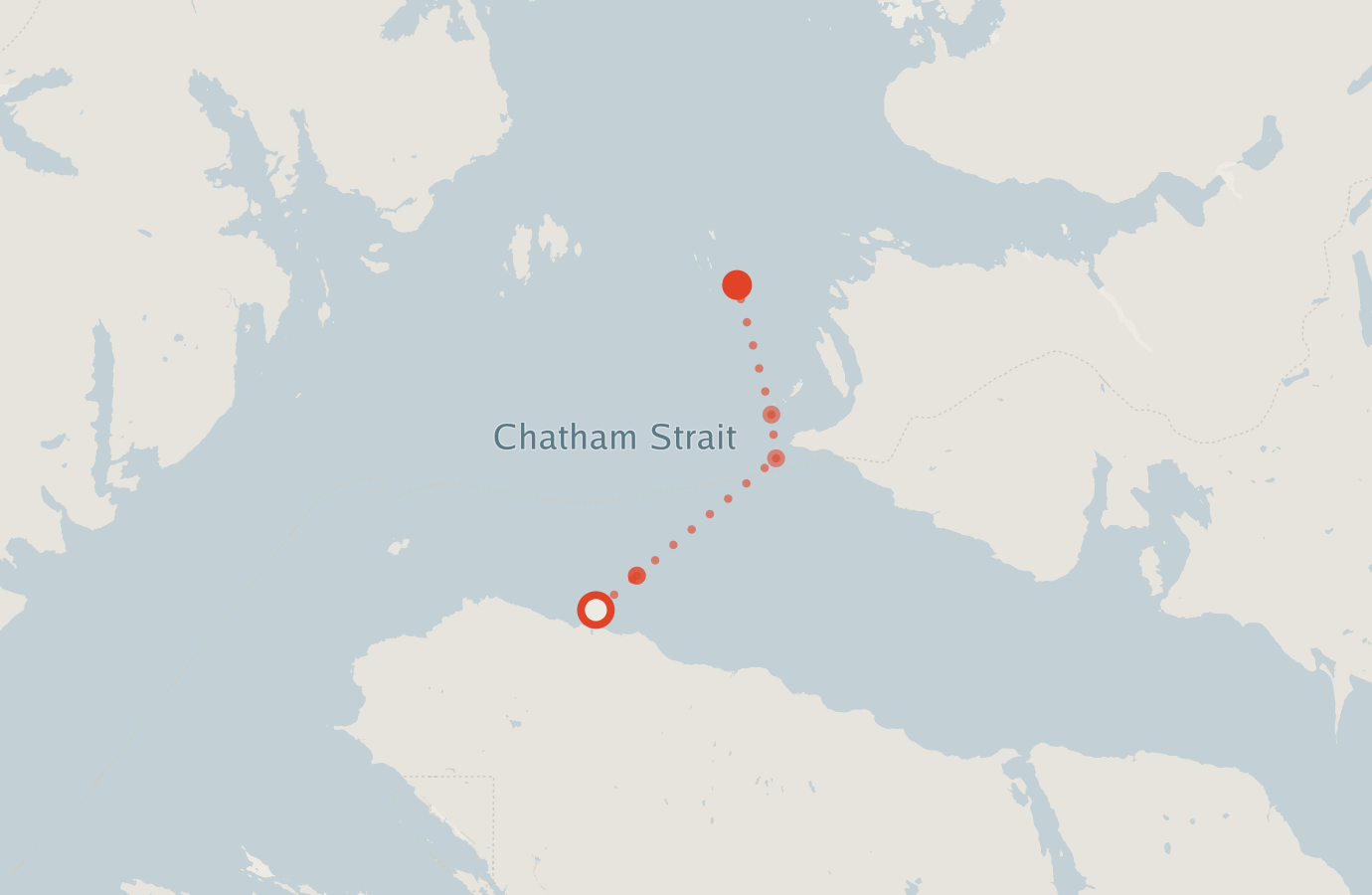 Activity map — real sighting points on an OpenStreetMap basemap