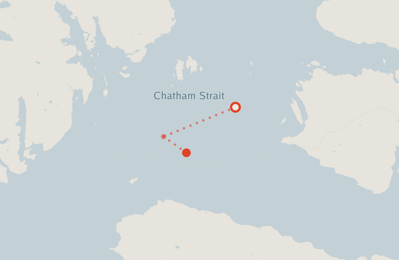 Activity map — real sighting points on an OpenStreetMap basemap