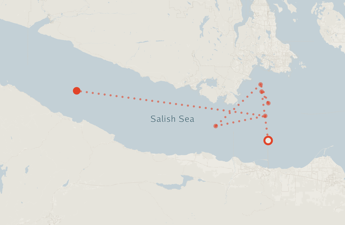 Activity map — real sighting points on an OpenStreetMap basemap