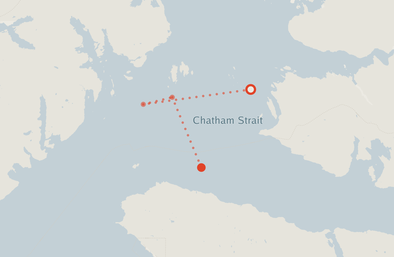 Activity map — real sighting points on an OpenStreetMap basemap