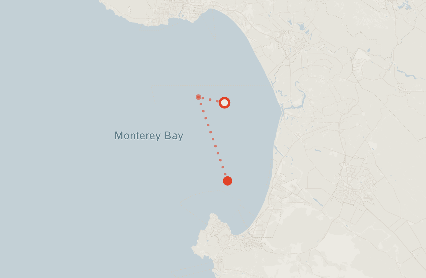 Activity map — real sighting points on an OpenStreetMap basemap