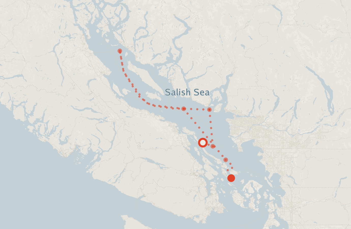 Activity map — real sighting points on an OpenStreetMap basemap