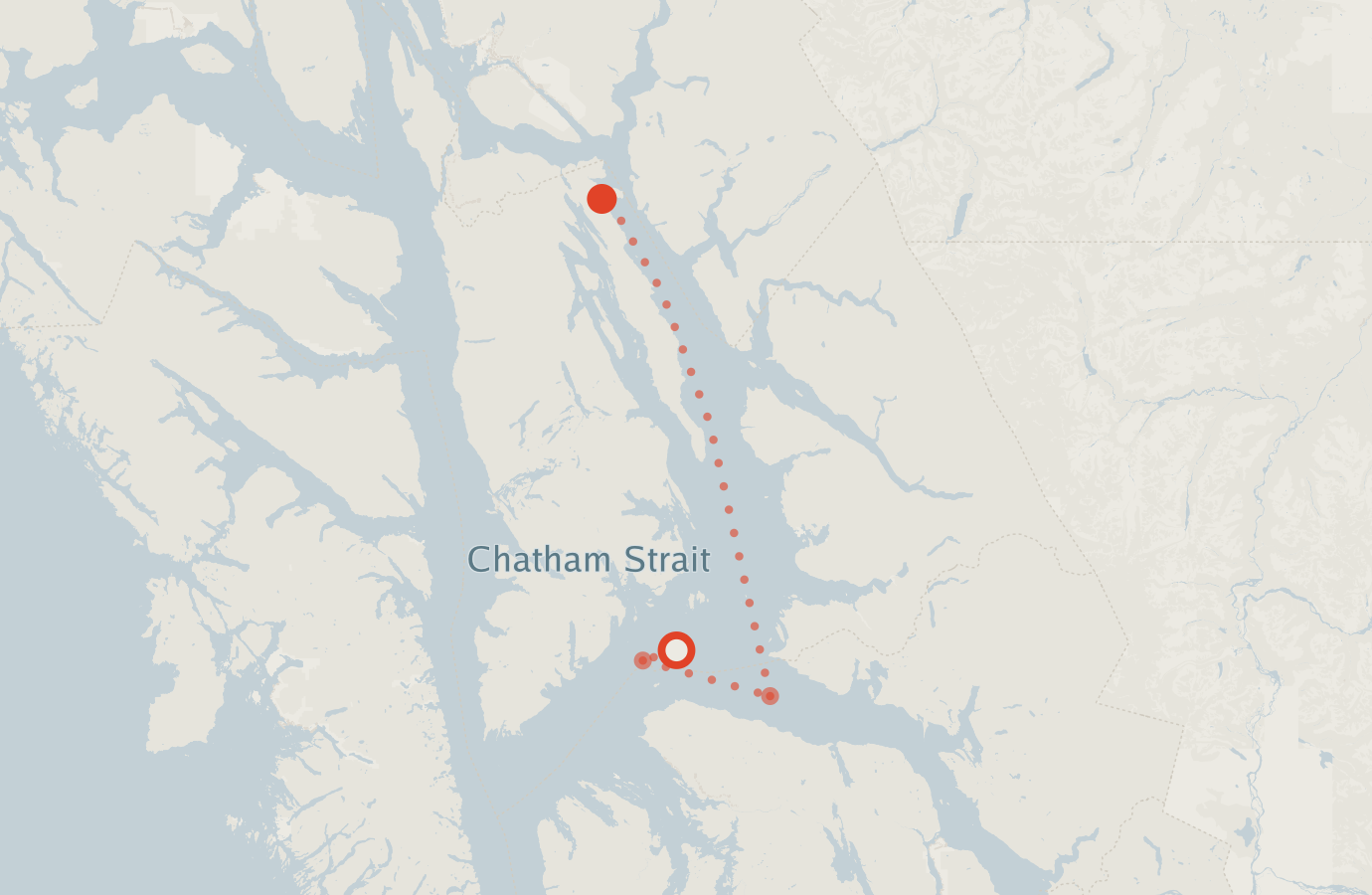 Activity map — real sighting points on an OpenStreetMap basemap