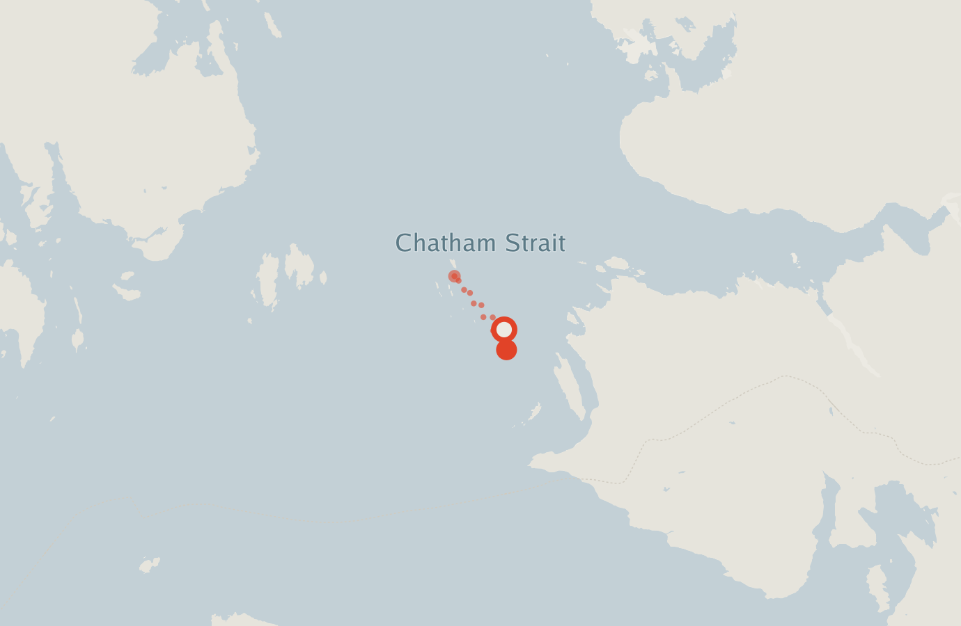 Activity map — real sighting points on an OpenStreetMap basemap