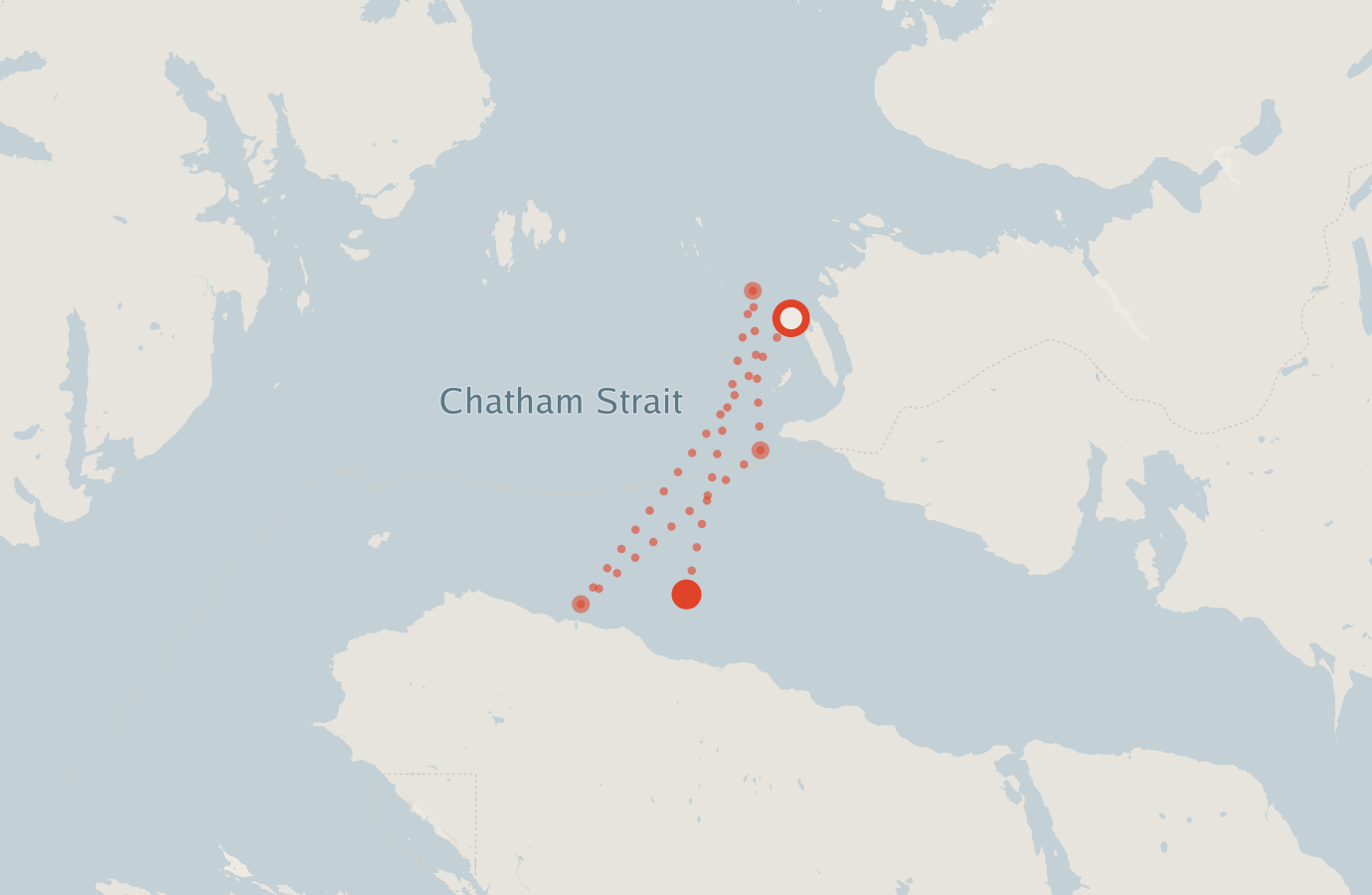 Activity map — real sighting points on an OpenStreetMap basemap
