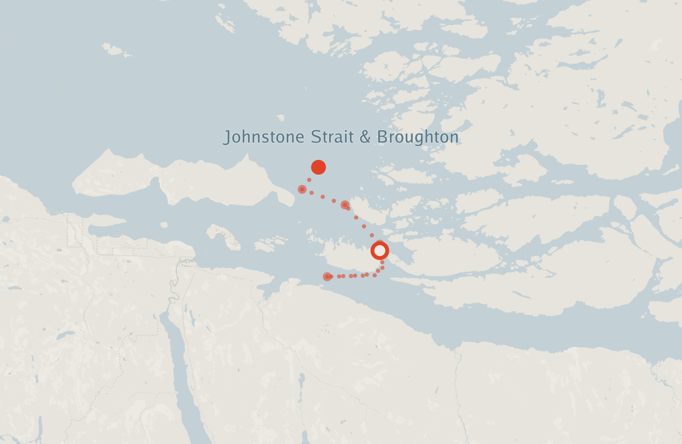Activity map — real sighting points on an OpenStreetMap basemap