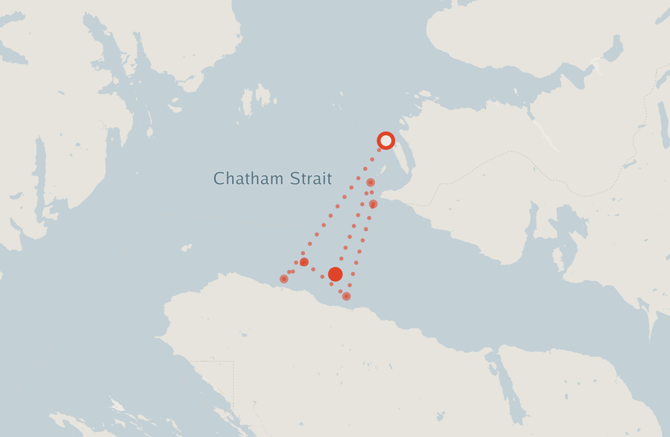 Activity map — real sighting points on an OpenStreetMap basemap