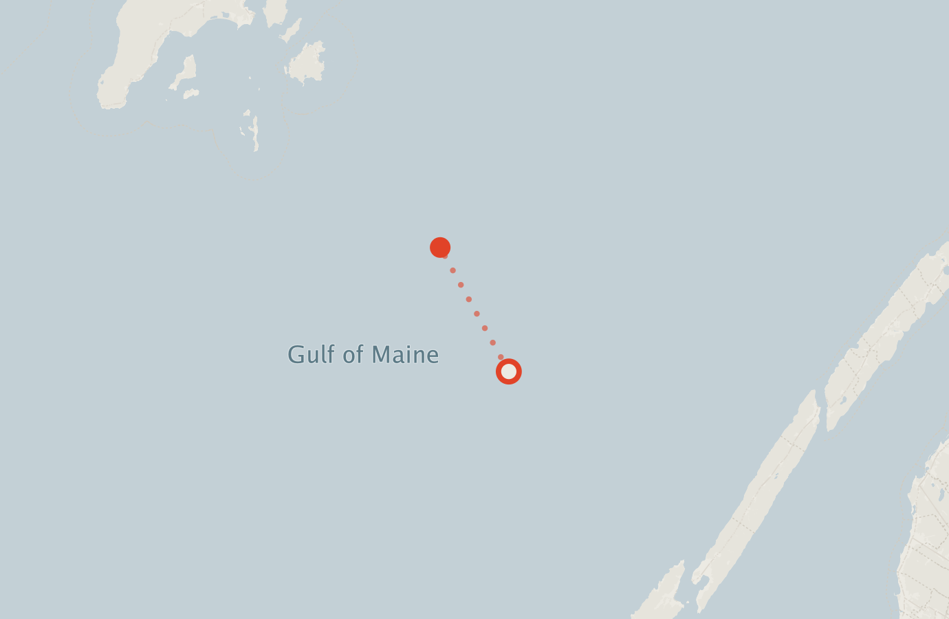 Activity map — real sighting points on an OpenStreetMap basemap