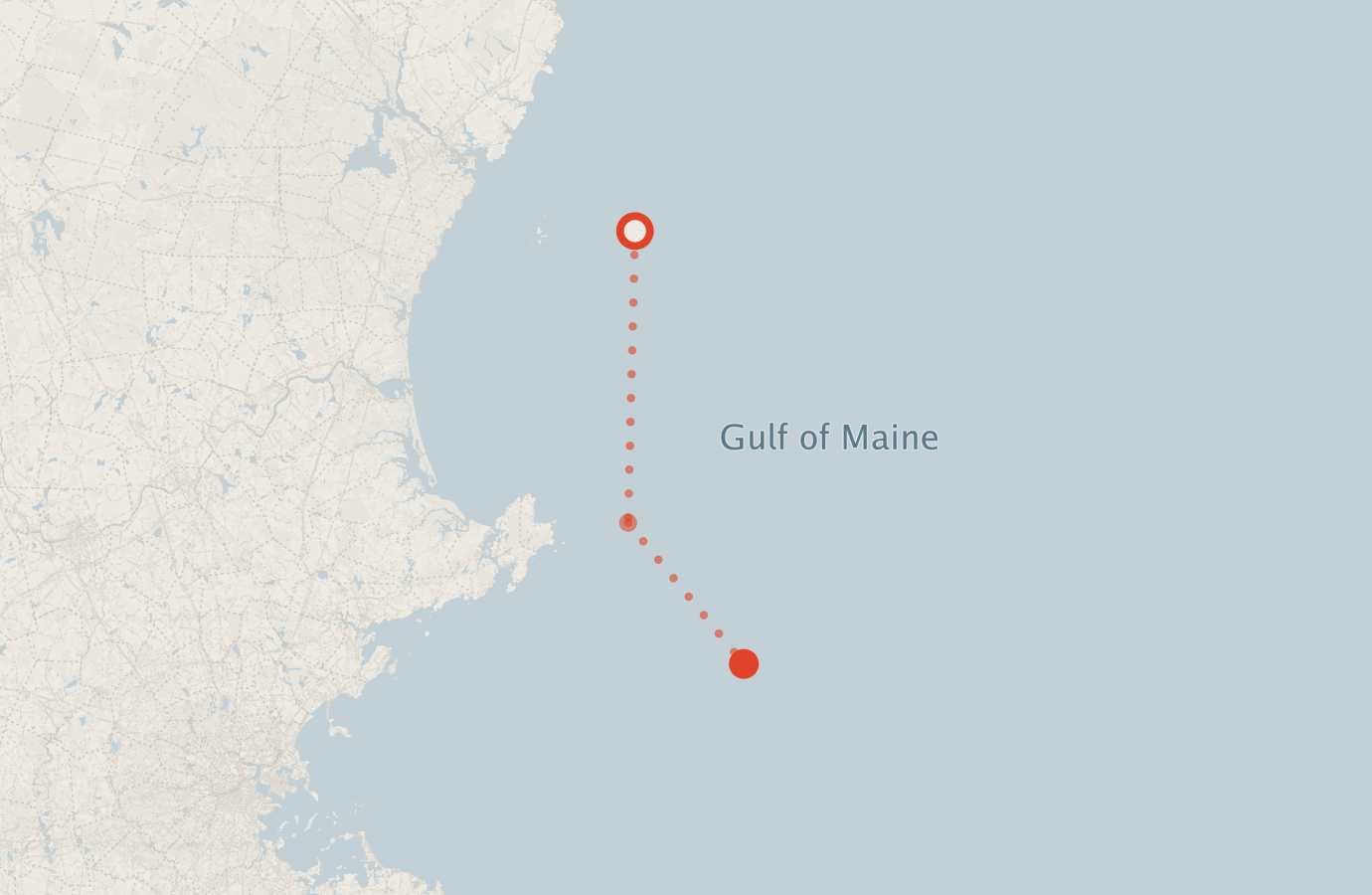 Activity map — real sighting points on an OpenStreetMap basemap