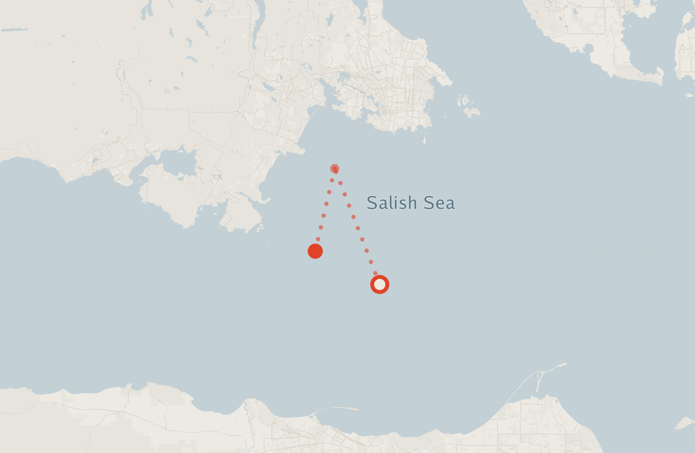 Activity map — real sighting points on an OpenStreetMap basemap