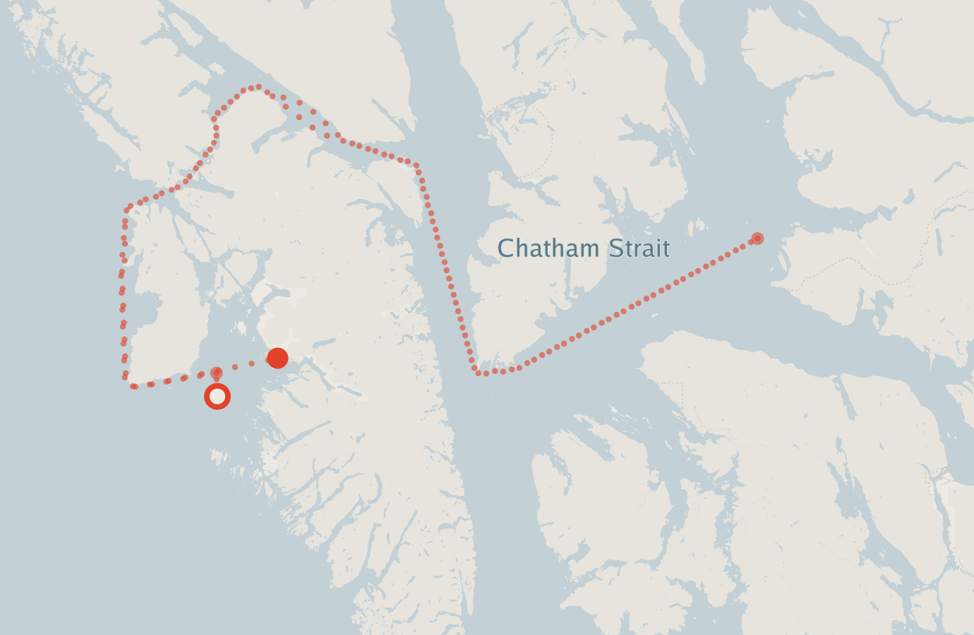 Activity map — real sighting points on an OpenStreetMap basemap