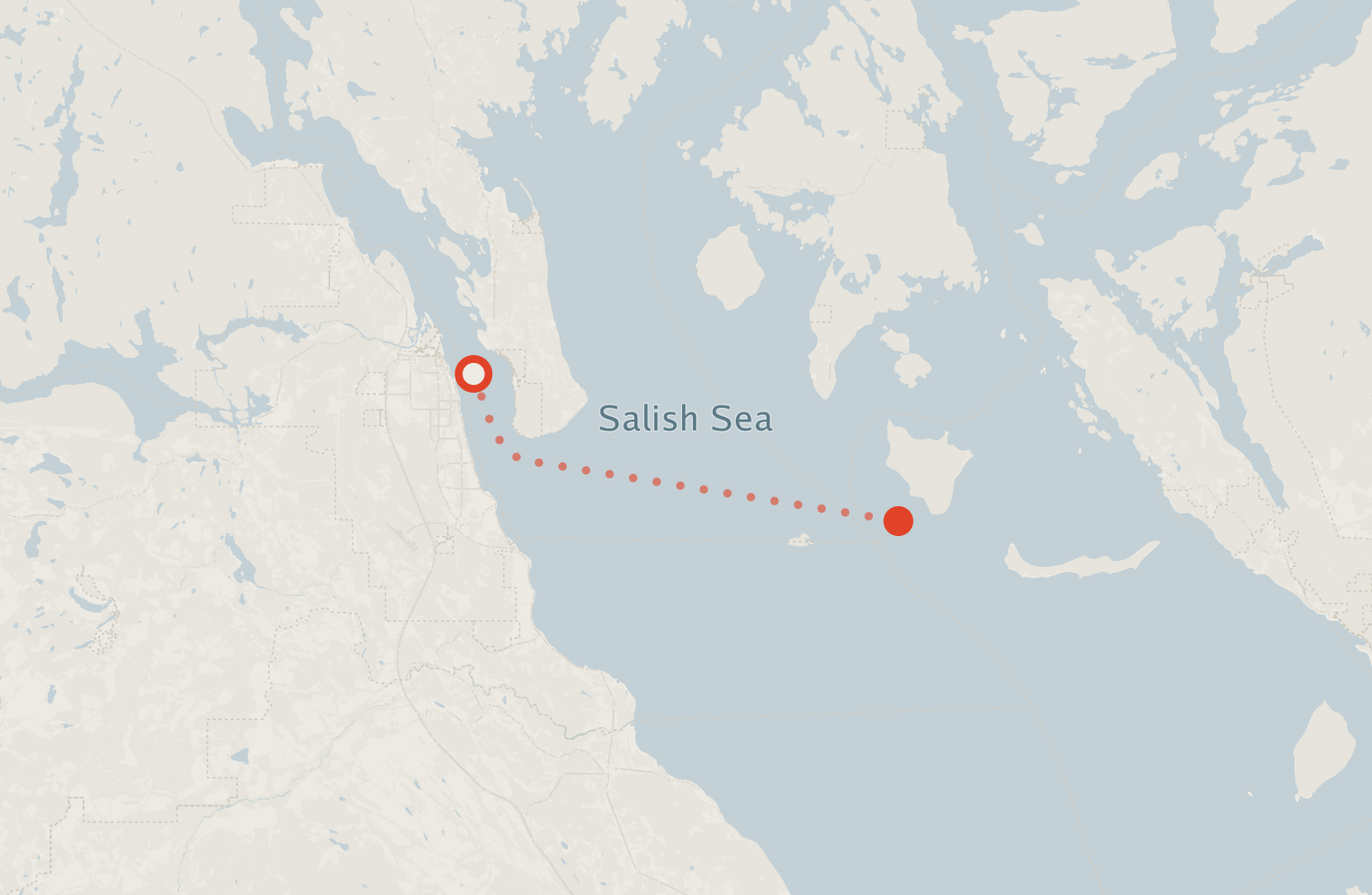 Activity map — real sighting points on an OpenStreetMap basemap