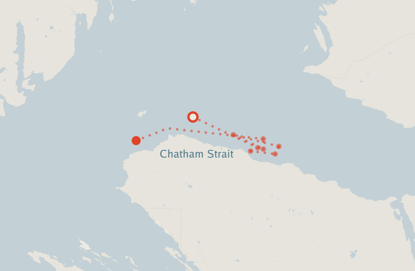 Activity map — real sighting points on an OpenStreetMap basemap