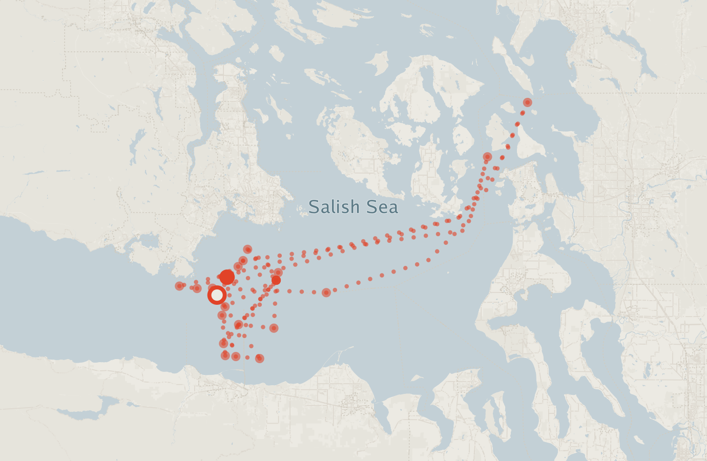 Activity map — real sighting points on an OpenStreetMap basemap