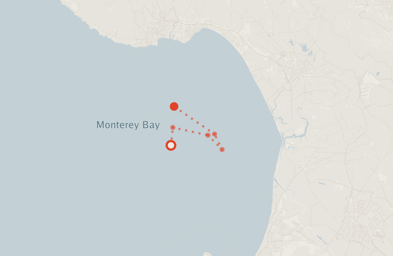 Activity map — real sighting points on an OpenStreetMap basemap