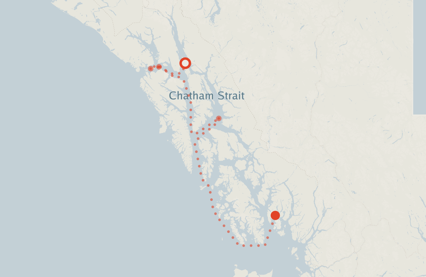 Activity map — real sighting points on an OpenStreetMap basemap